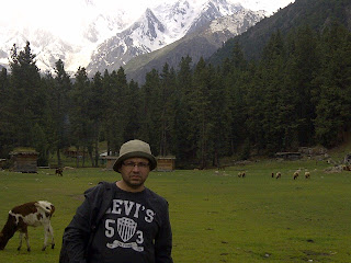 Ali Hameed - Fairy Meadows