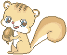 Gif animal