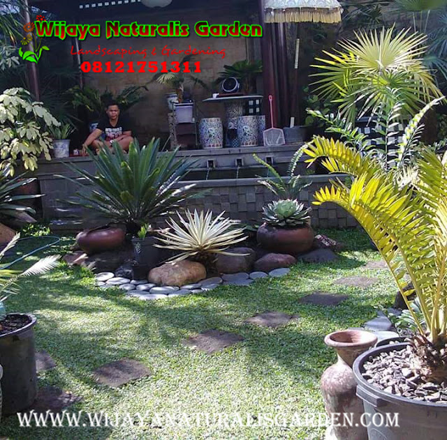 Tukang Taman Surabaya,Tukang Taman Surabaya Garden Center,Tukang Taman Surabaya Jasa pembuatan taman dan kolam minimalis Surabaya,Tukang Taman Surabaya alam asri,Tukang Taman Surabaya,Tukang Taman Surabaya murah,Tukang Taman Surabaya barat,Tukang Taman di Surabaya,Harga Tukang Taman Surabaya,Tukang Taman Murah di Surabaya,Jasa Tukang Taman di Surabaya,Tukang Buat Taman di Surabaya,Jasa Tukang Taman Surabaya,Tukang Taman Murah Surabaya,Tukang Taman di Surabaya,Tukang Taman Surabaya Wijaya Naturalis,Tukang Pembuatan Taman Surabaya,Ahli Tukang Taman di Surabaya,Tempat Tukang Pembuatan Taman di Surabaya,Jasa Tukang Pembuatan Taman di Surabaya,Lokasi Tukang Pembuatan Taman di surabaya,Alamat Tukang Pembuatan Taman di Surabaya,Tempat Tukang Pembuatan Taman Surabaya,Jasa Tukang Pembuatan Taman Surabaya,Lokasi Tukang Pembuatan Taman Surabaya,Alamat Tukang Pembuatan Taman Surabaya