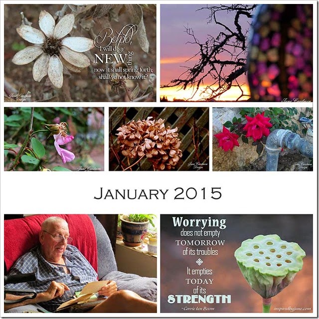 Photo_Collage_January