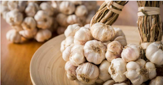 How to Plant, Grow and Harvest Garlic