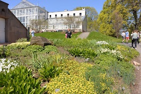 Oslo le parc bontaisue et les serres de plantes  tropicales