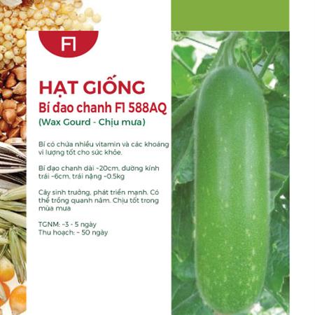 Hạt giống Bí đao chanh F1 588AQ - Chịu mưa