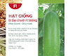 Hạt giống Bí đao chanh F1 588AQ - Chịu mưa