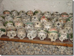 KOPONYÁK