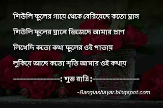 good night love message in bengali