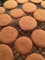 Ginger Snaps