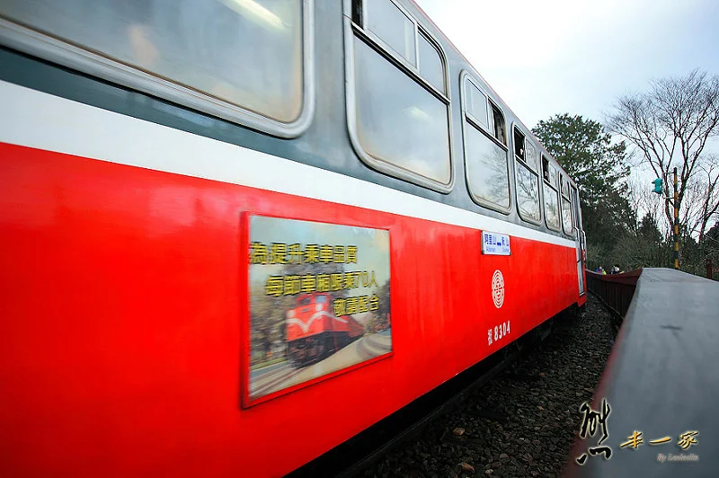 沼平車站｜沼平公園櫻花季｜嘉義阿里山國家森林遊樂區景點｜阿里山櫻花季