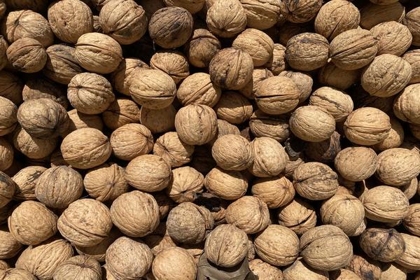 Pure organic walnut