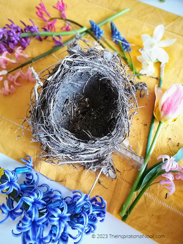 Diy birds nest decoration, bird nest centerpiece ideas, decorating with real birds nests, bird nest decorting ideas, bird nest decor, reuse bird's nest, old bird's nest