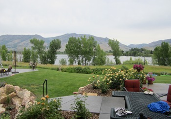 backyard (1 of 1)