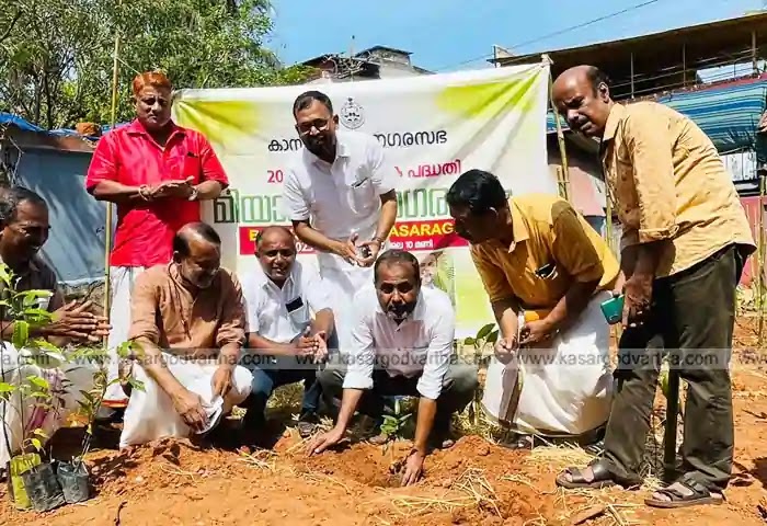 Malayalam News, Urban forests, Miyawaki technique, Kasaragod Municipality, Kerala News, Kasaragod News, 'Miyawaki Urban Forest' of Kasaragod Municipality inaugurated.