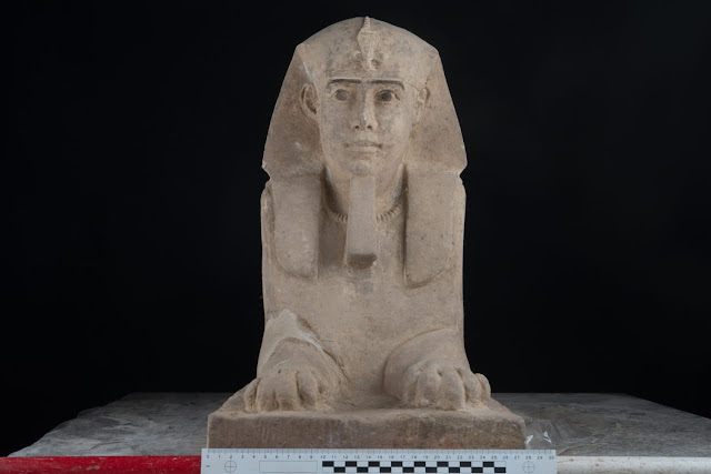 A close-up of the discovered sphinx 