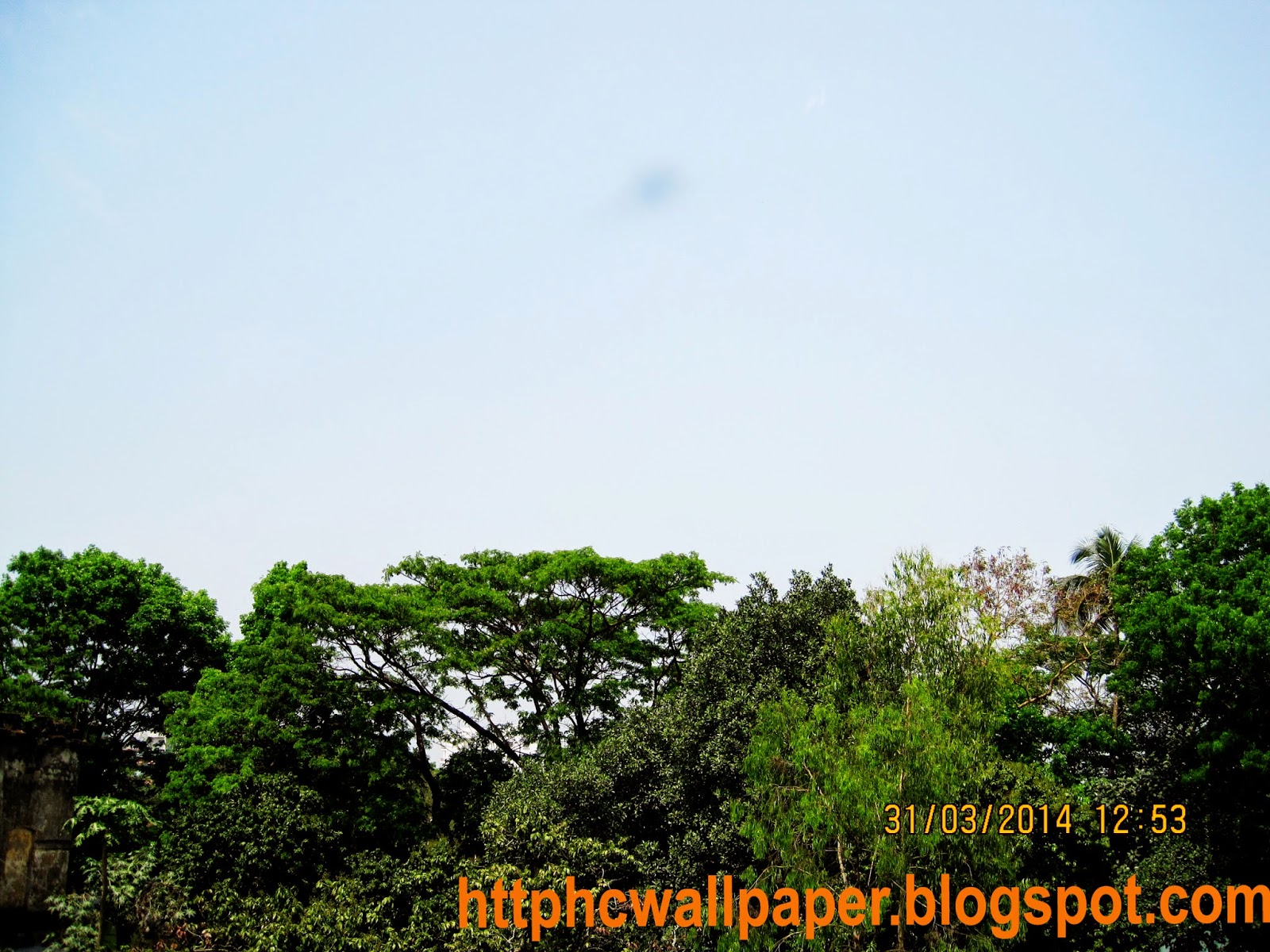 Free HD Nature Picture in Bangladesh