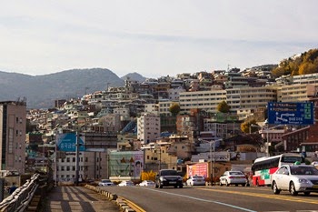 IMG_0580