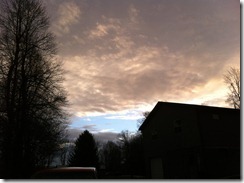 fun pics of nov 023