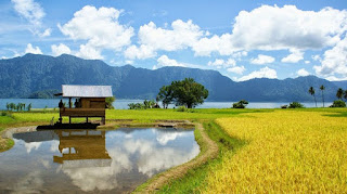 Countryside Photography
