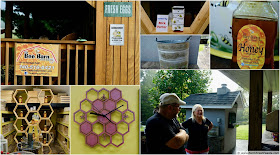 images from a visit to the Bee Barn of SE Ohio