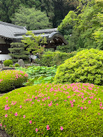 Day 17 Kyoto - Saihōji (Kokedera) Temple