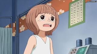 ワンピースアニメ パンクハザード編 609話 | ONE PIECE Episode 609