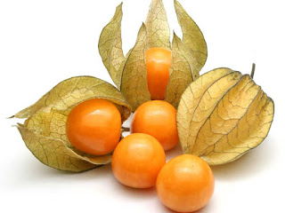 Physalis Fruit Pictures