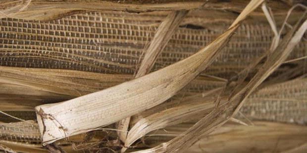 Membuat Kerajinan  Tangan dari Pelepah Pisang 