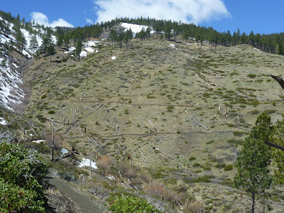 Upper Waterfall Loop trail