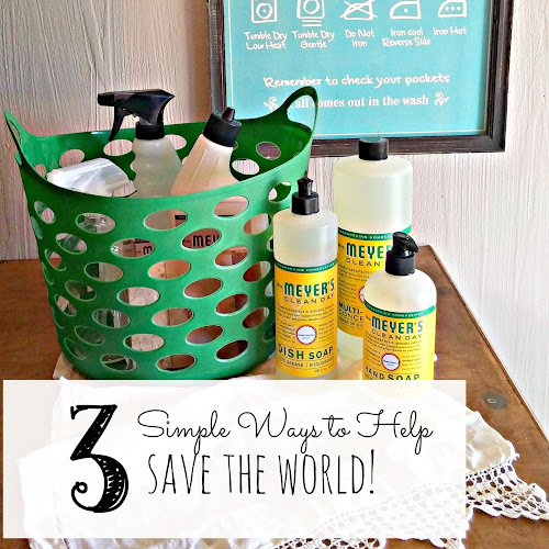 Earth Day - 3 Simple Ways to Help Save the World!