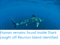 https://sciencythoughts.blogspot.com/2019/12/human-remains-found-inside-shark-caught.html