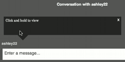 How To Create Self Destructing Message and Chat with Burn Note