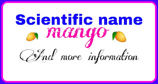 Scientific name mango