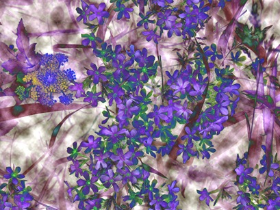 Phlox difference clouds