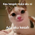 17+ Meme Kucing Sedih