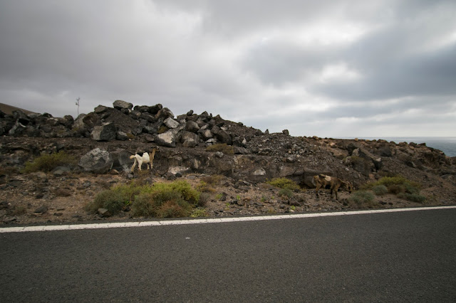 Strada per Puertito Los Molinos-Fuerteventura