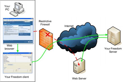 Your Freedom connection diagram