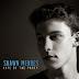 Download Life of the Party - Shawn Mendes mp3