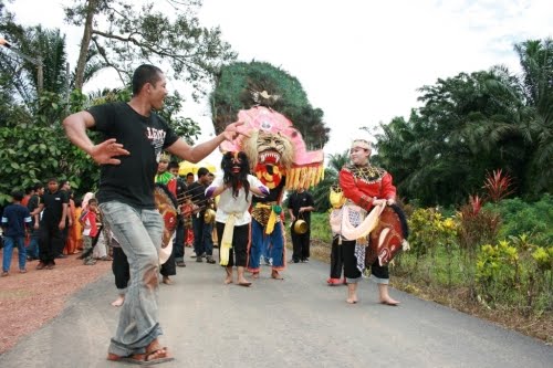 My kelapa laut: pErSeMbAHaN bArOnGaN