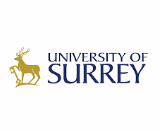 Women in Leadership Scholarship at University of Surrey