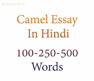 Camel Essay In Hindi 100-250-500 Words