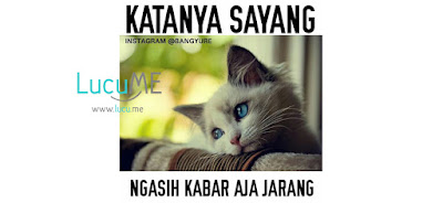 11 Meme 'Katanya Sayang' Ini Bikin Baper Campur Kocak