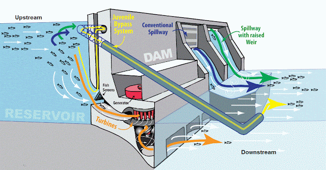 upstream and downstream