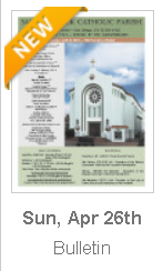 https://parishesonline.com/find/pastor-of-saint-patrick-catholic-parish-san-diego-california-corporation-sole/bulletin/file/05-0628-20200426B.pdf