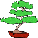 Kumpulan Animasi  50 Gambar Pohon  Bergerak  Unik Untuk  PPT  