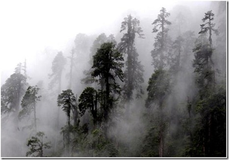 Motuo County, China
