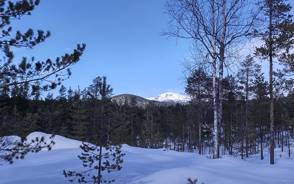 skitur slåttemyri