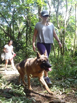Patas 19 (178)