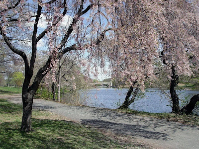 Весна на берегу реки.