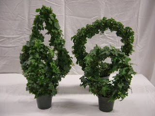 Ivy Topairy Plants