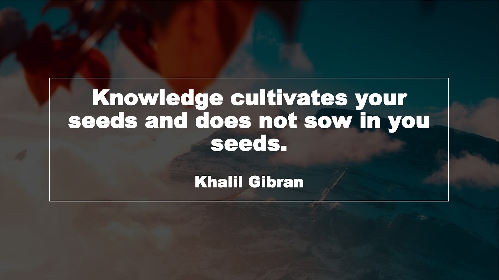 Knowledge cultivates your seeds and does not sow in you seeds. (Khalil Gibran)