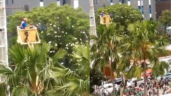 Beredar Video Terjadi 'Hujan Uang' di Daerah Jakarta, Ternyata Dilakukan Oleh Oknum ini, Ada Apa?